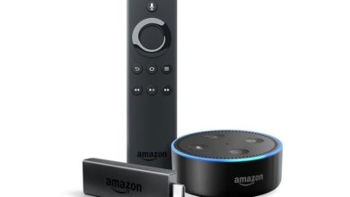 Echo Dot und Fire TV Stick im Set