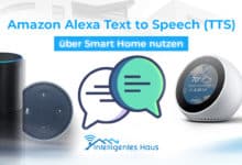 Alexa TTS über Smart Home nutzen