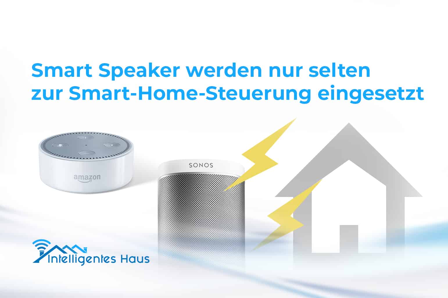 Umfrage zur Smart Speaker Nutzung