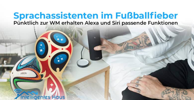 Fußball WM