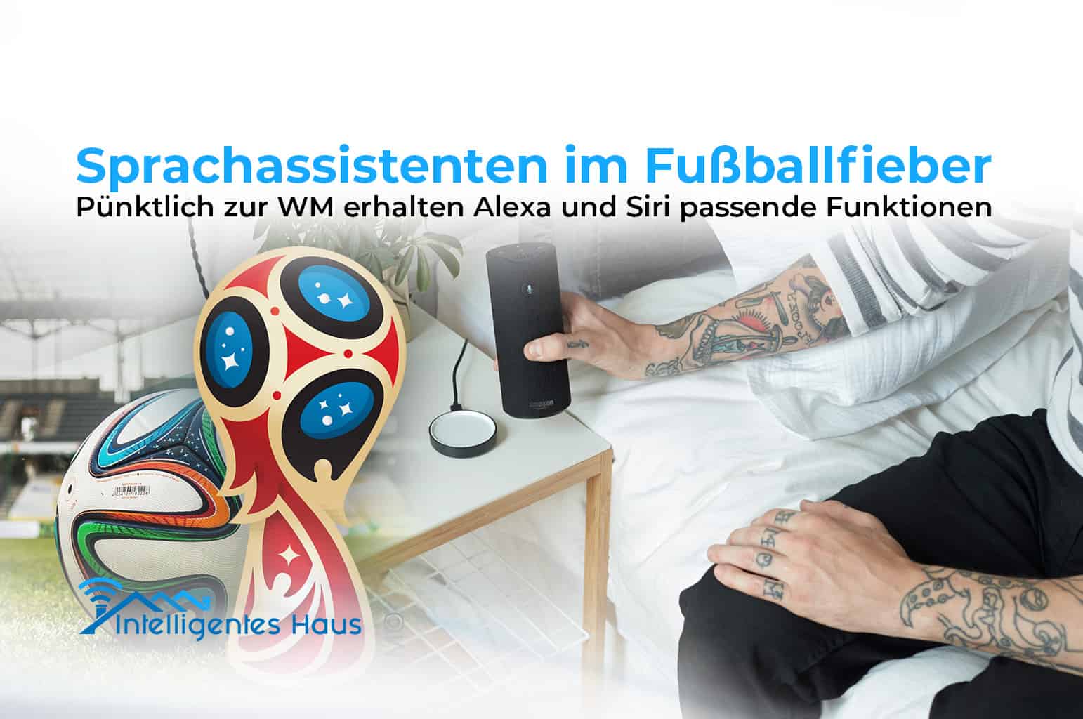 Fußball WM