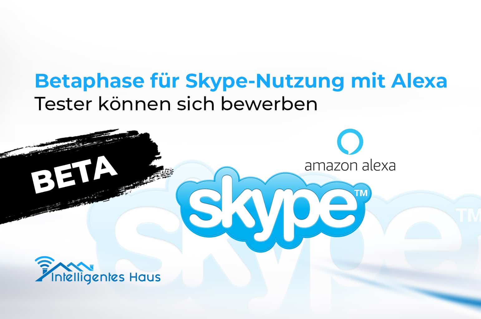 Skype-Nutzung