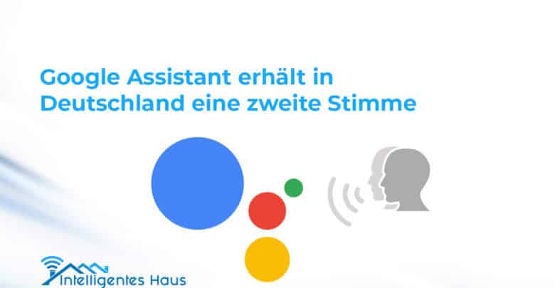 neue Stimme für Google