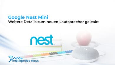 Leak zum Nest Mini