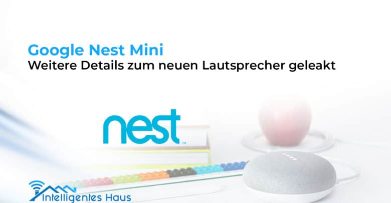 Leak zum Nest Mini